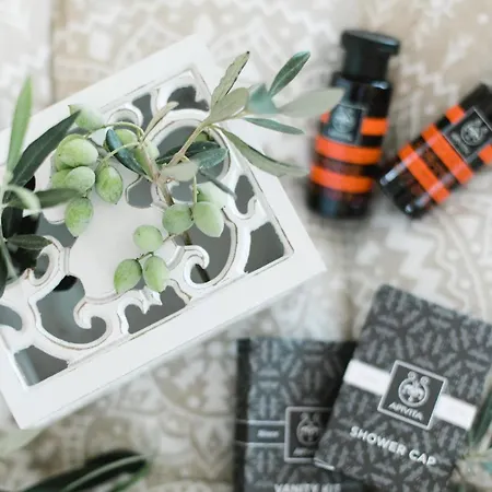 Ammos Boutique 3* Chiliadou (Fokida)